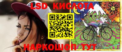 шишки Апшеронск