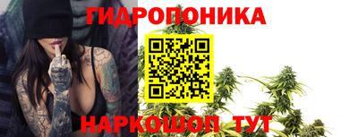 шишки Апшеронск