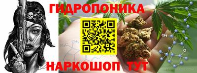 шишки Апшеронск